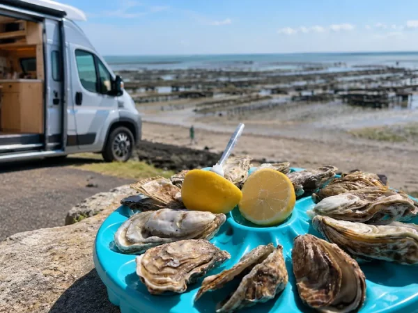huitres au bord de la mer